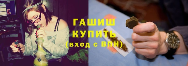 сатива Белокуриха