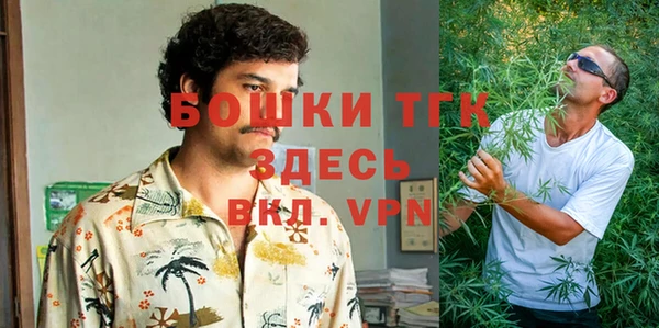 сатива Белокуриха