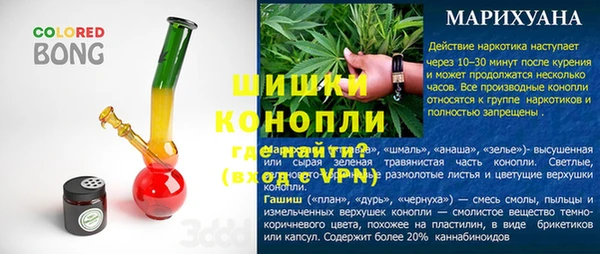 сатива Белокуриха