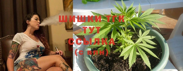 сатива Белокуриха